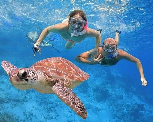 Relaxing Boat Cruise  Snorkeling  Excursion Alanya